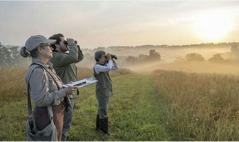 Spring Conservation Safari
