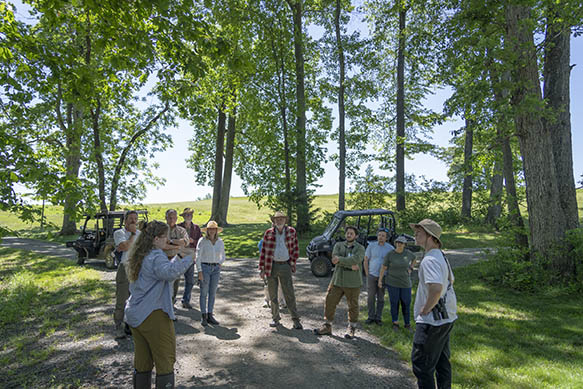 Conservation Safari