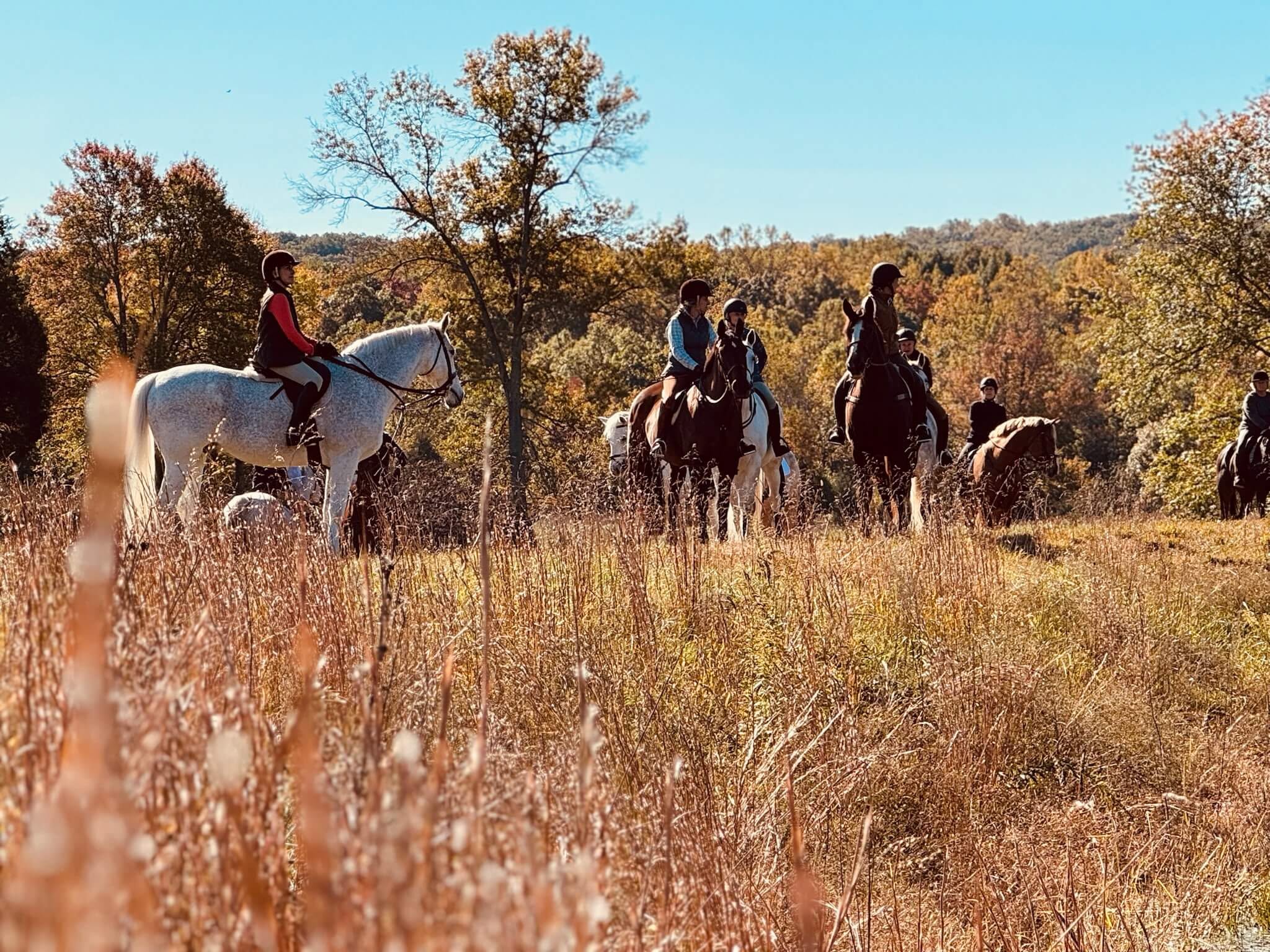 2024 Fall Conservation Trail Ride