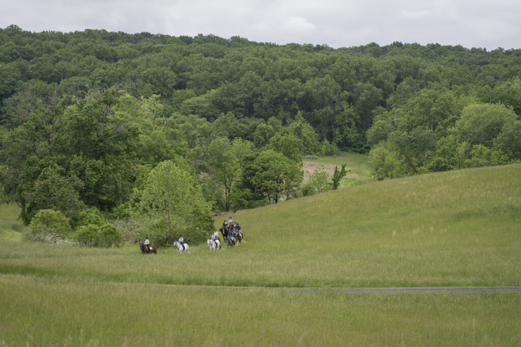Spring Conservation Safari
