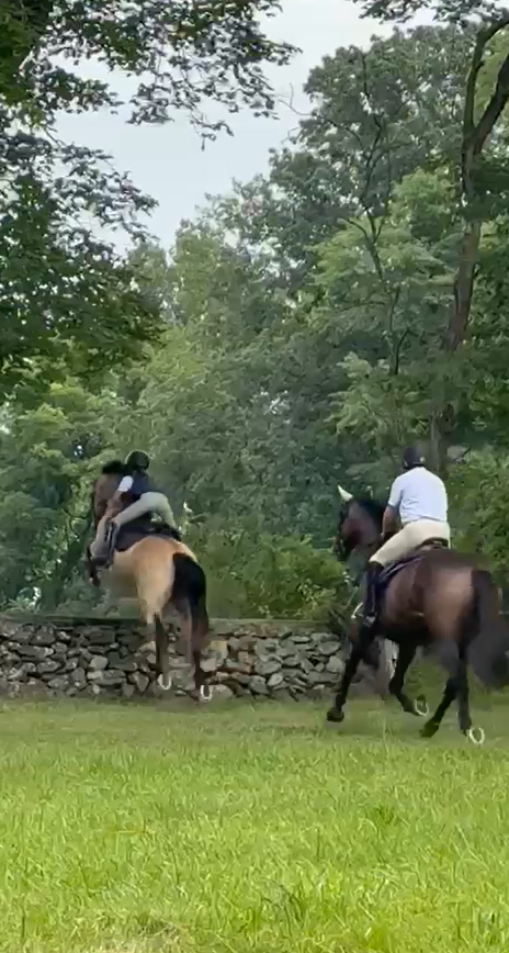 Riders crossing a stone wall at Little River Farm