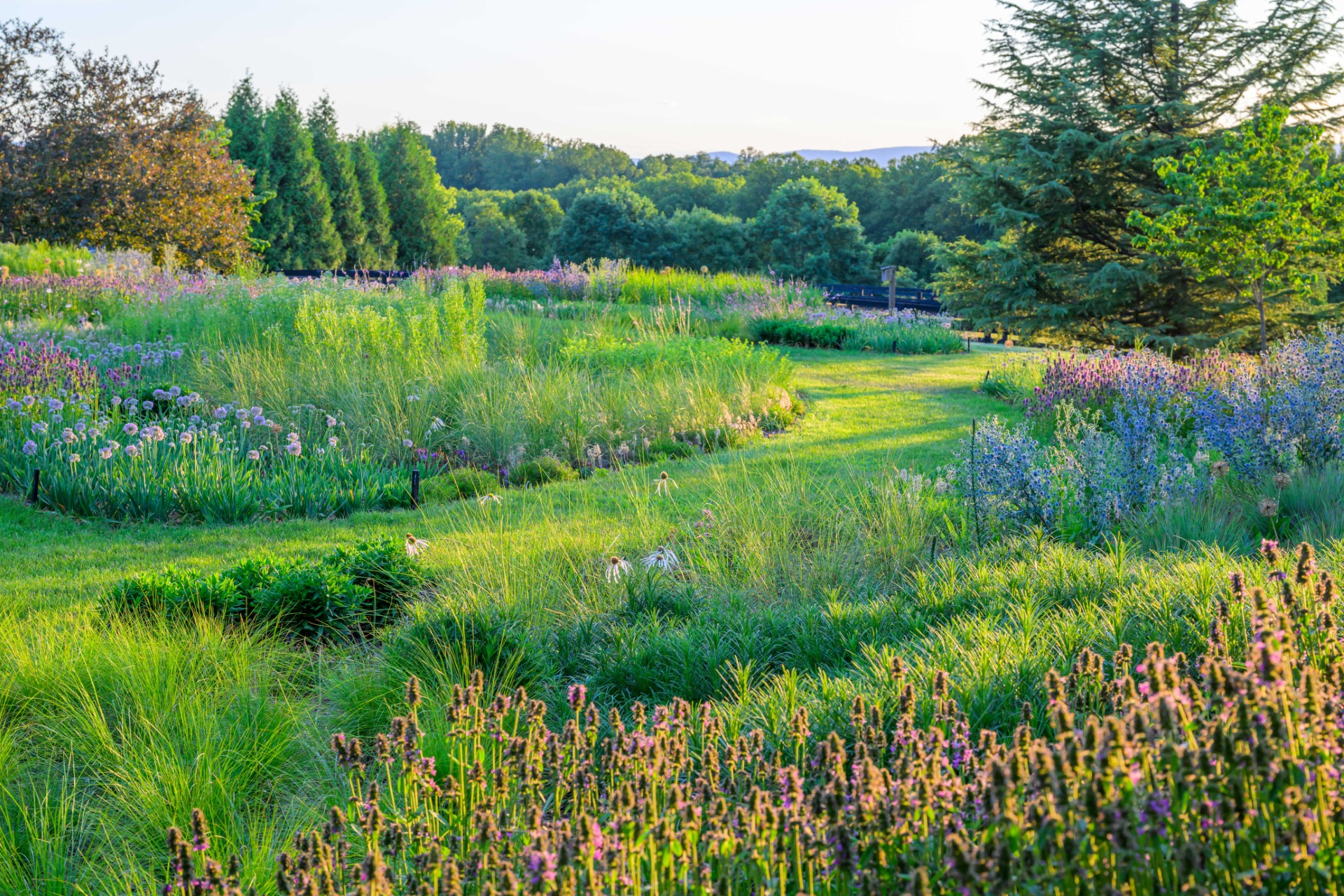 Landowner Meetup with the Clifton Institute